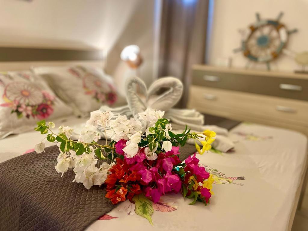 La Playa - L'Appartement Cozy - 2 A 5 Personnes 상트 안느 외부 사진